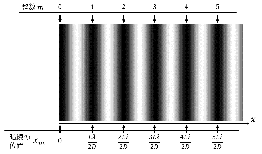 くさび形空気層による干渉の整数mと縞の発生位置の関係を説明する図